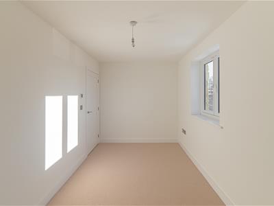 Picture 31